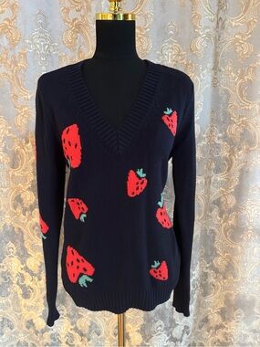 Ann Taylor Loft Navy V-Neck Strawberry Knit Sweater - Women Medium